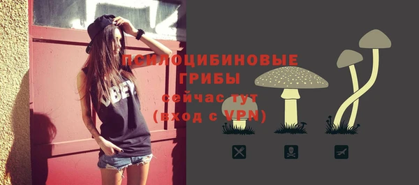дурь Балахна