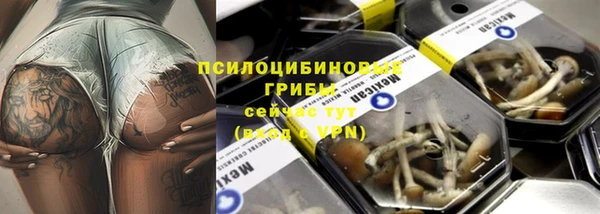 дурь Балахна